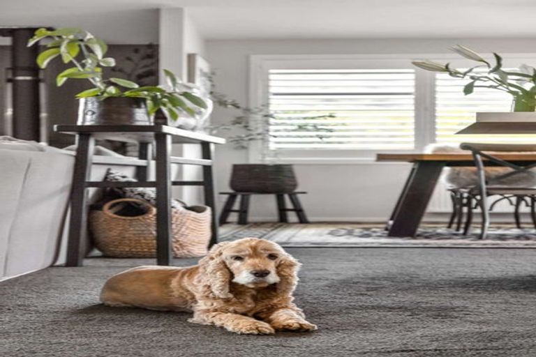 Photo of property in 3 Mallett Lane, Lowburn, Cromwell, 9384