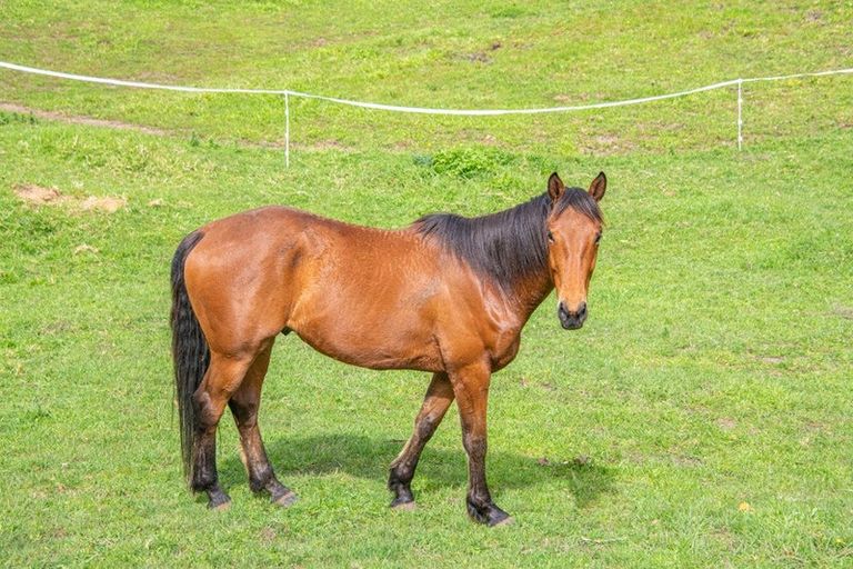 Photo of property in 211 Wilson Road, South Head, Helensville, 0874