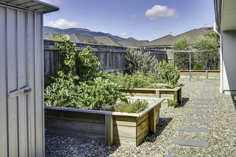 Photo of property in 8 Boysenberry Grove, Richmond, 7020