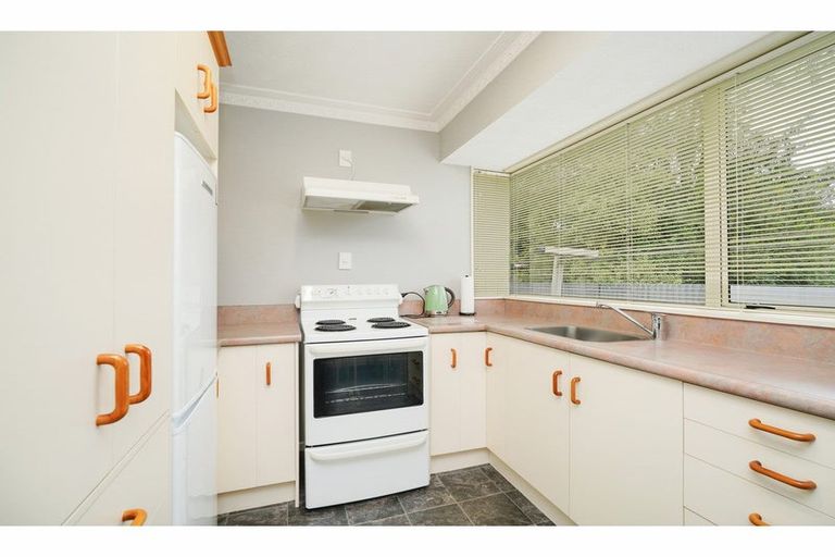 Photo of property in 17 Galway Street, Grasmere, Invercargill, 9810