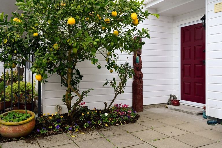 Photo of property in 30d Sophia Street, Glenholme, Rotorua, 3010