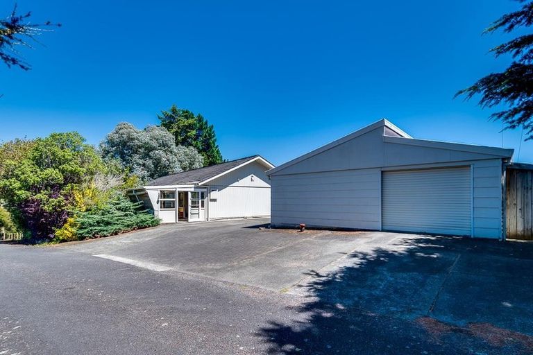 Photo of property in 117 Eskdale Drive, Bay View, Napier, 4182