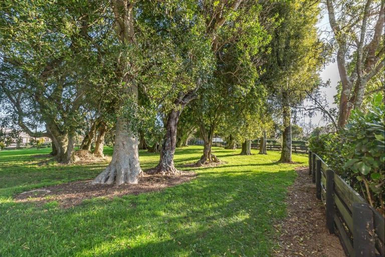 Photo of property in 26 Wakefield Road, Levin, 5571