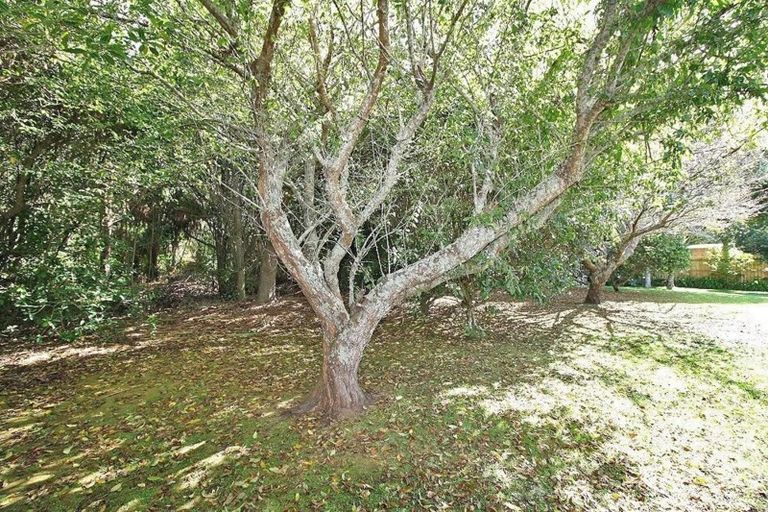 Photo of property in 36a Mako Avenue, Whiritoa, Whangamata, 3691