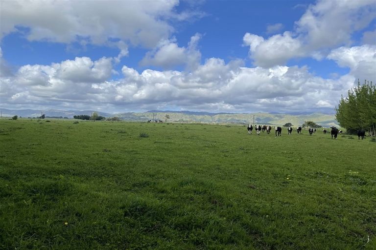 Photo of property in 106 Kukutauaki Road, Koputaroa, Shannon, 5575