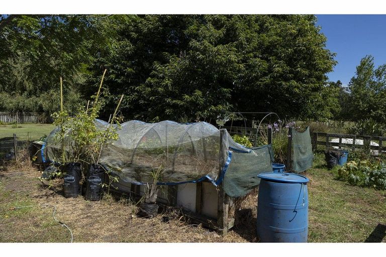 Photo of property in 41 Te Ra Road, Kaeo, Kerikeri, 0295