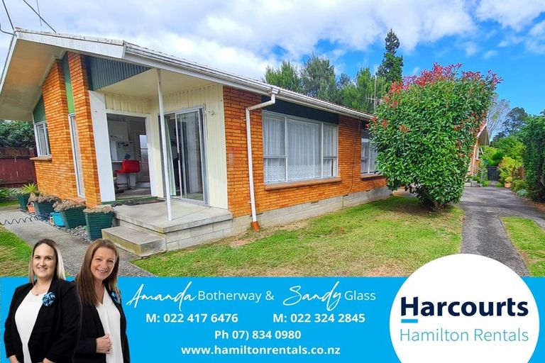 Photo of property in 53a Fitzroy Avenue, Fitzroy, Hamilton, 3206