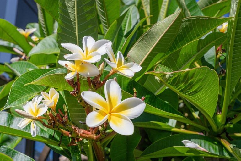 Photo of property in 20 Captain Wood Avenue, Whitianga, 3510