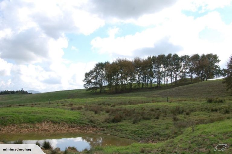 Photo of property in 229 Settlement Road, Kaiwaka, 0573