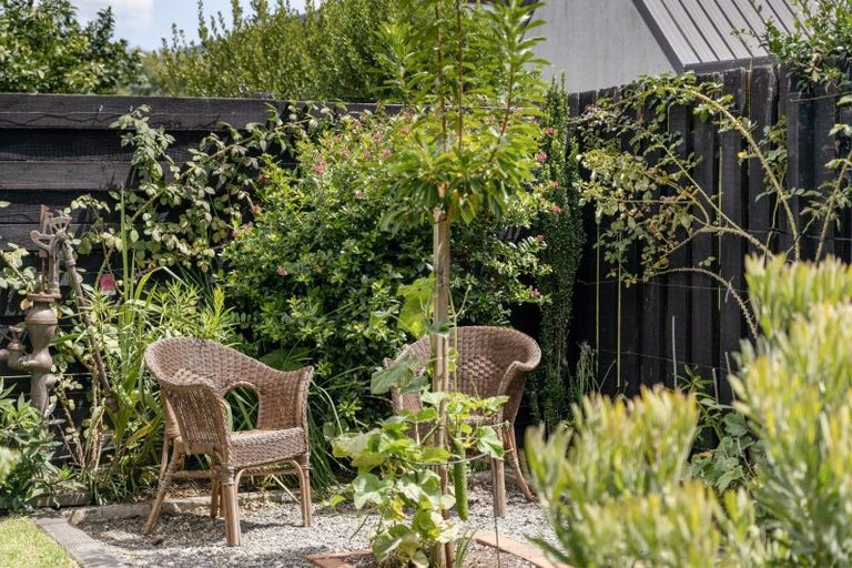 Photo of property in 113c Grace Road, Tauranga South, Tauranga, 3112