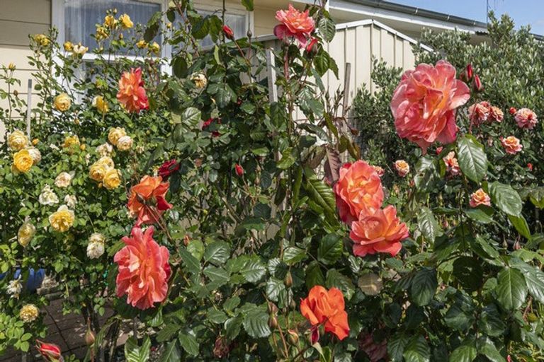 Photo of property in 18a Blundell Place, Huntly, 3700