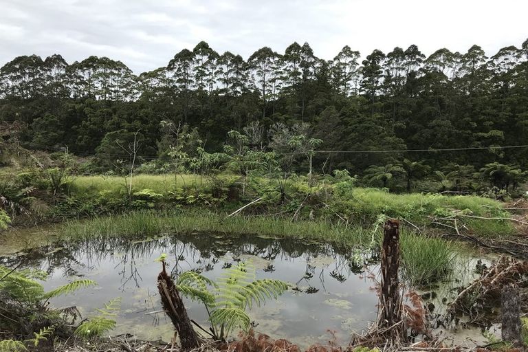 Photo of property in 59 Harbour View Rise, Mangonui, 0494