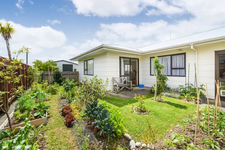 Photo of property in 46 Weld Street, Feilding, 4702