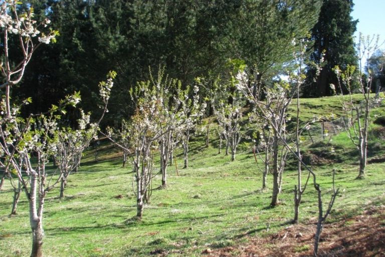 Photo of property in 4 Terrace Street, Matawai, 4075