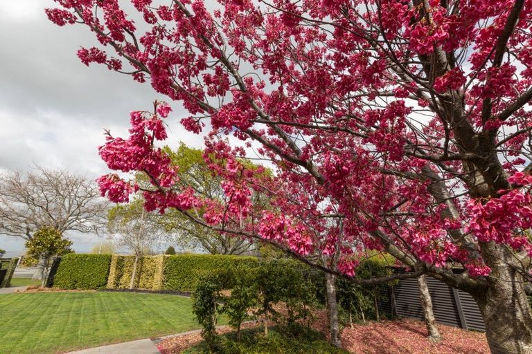 Photo of property in 50 South Street, Feilding, 4702