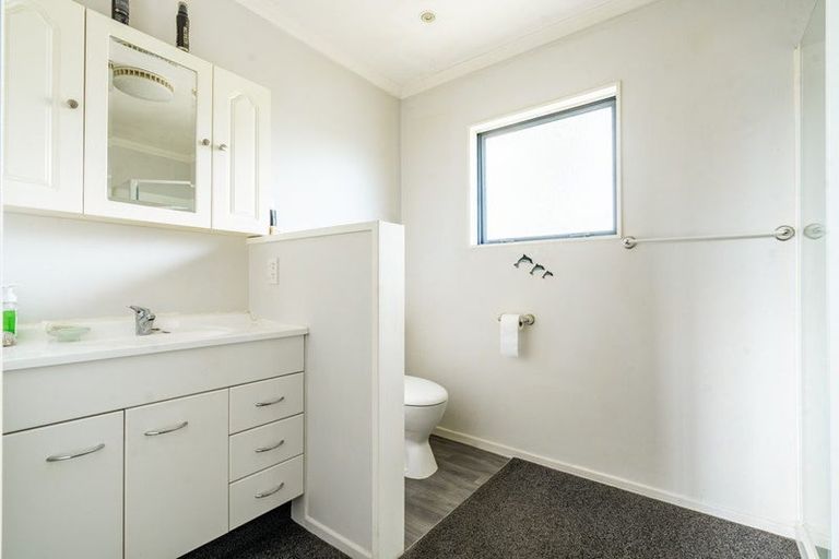 Photo of property in 3 Queen Street, Milton, 9220