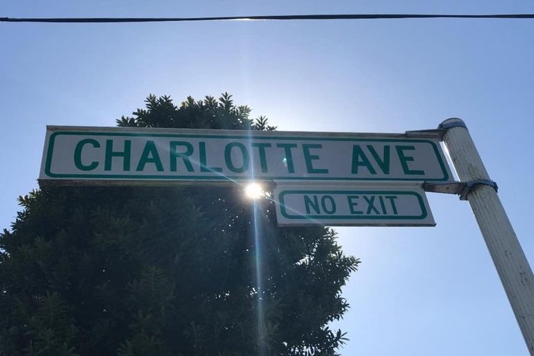 Photo of property in 19 Charlotte Avenue, Brooklyn, Wellington, 6021