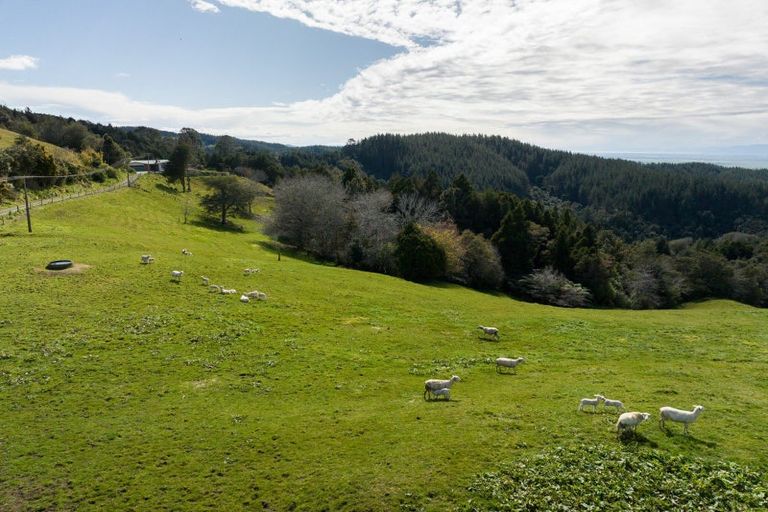 Photo of property in 739 Waiti Road, Tahuna, Morrinsville, 3373