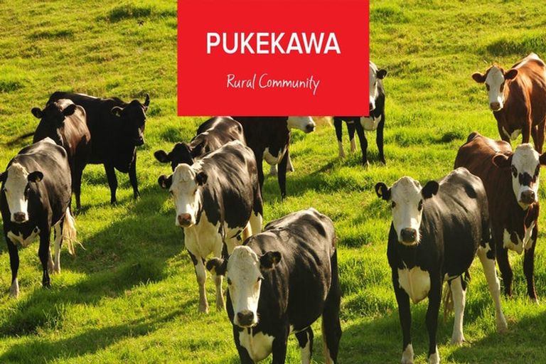 Photo of property in 50 Geraghty Road, Pukekawa, 2696