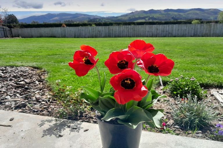 Photo of property in 100a Main Street, Oxford, 7430