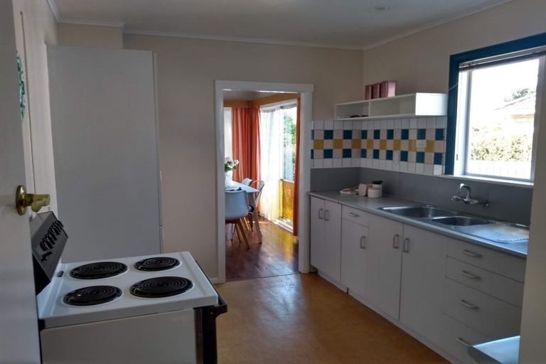 Photo of property in 156 Tiro Tiro Road, Levin, 5510