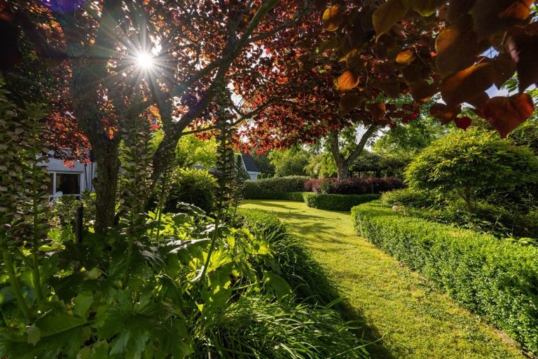 Photo of property in 72c James Road, Te Puna, Tauranga, 3176