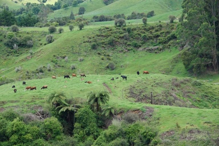 Photo of property in 150 Papanui Road, Merivale, Christchurch, 8014