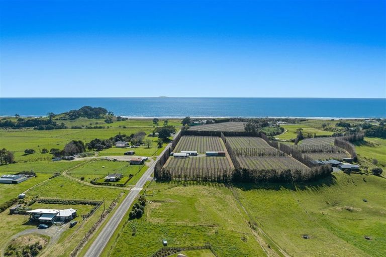 Photo of property in 61 Tirohanga Road, Tirohanga, Opotiki, 3197