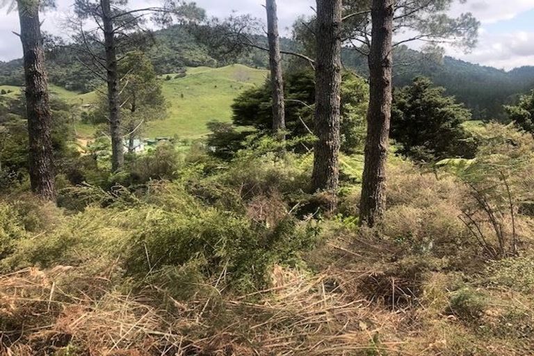 Photo of property in 205 Kaimarama Road, Kaimarama, Whitianga, 3591