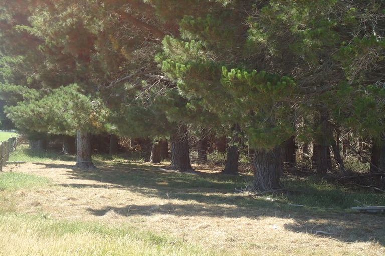 Photo of property in 27 Kennards Road, Waimate, 7978