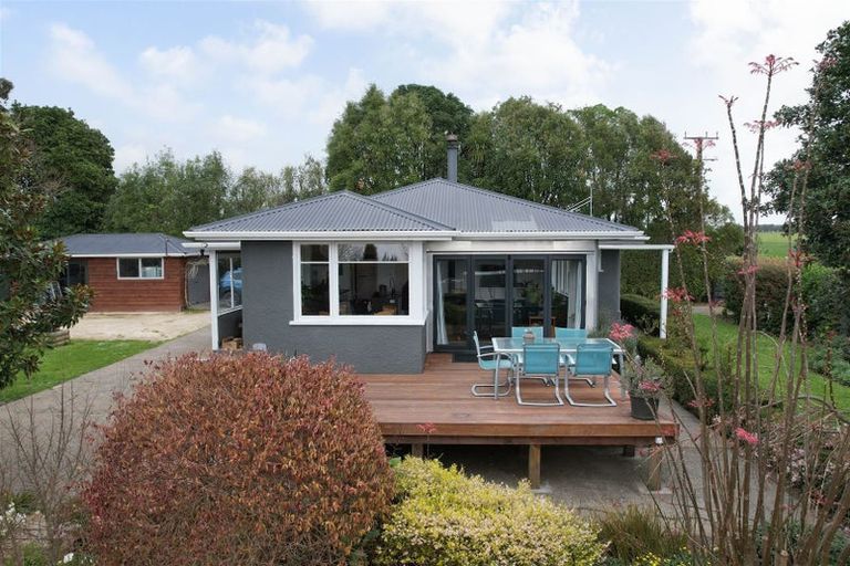 Photo of property in 51 Laward Road, Shannon, Palmerston North, 4474