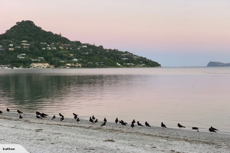 Photo of property in 23 Manaia Road, Tairua, 3508