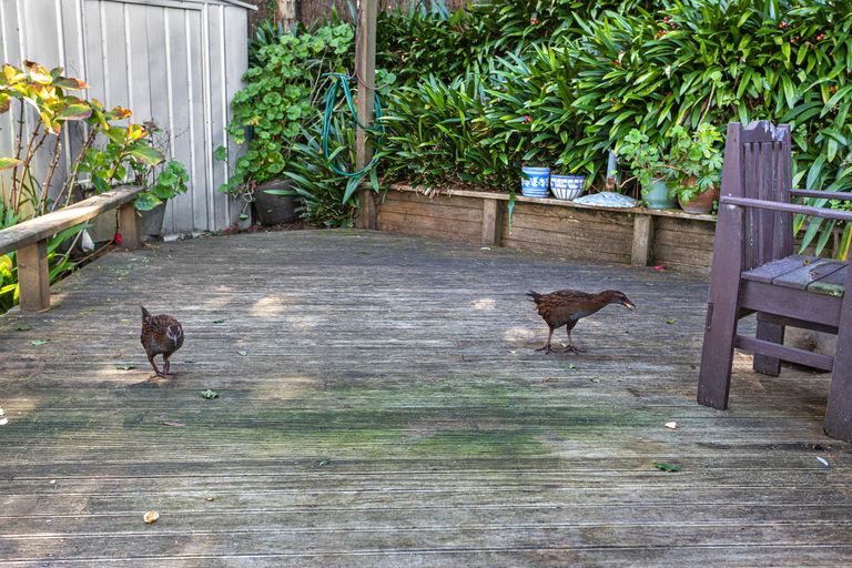 Photo of property in 3 Kuaka Lane, Waiotahe, Opotiki, 3198