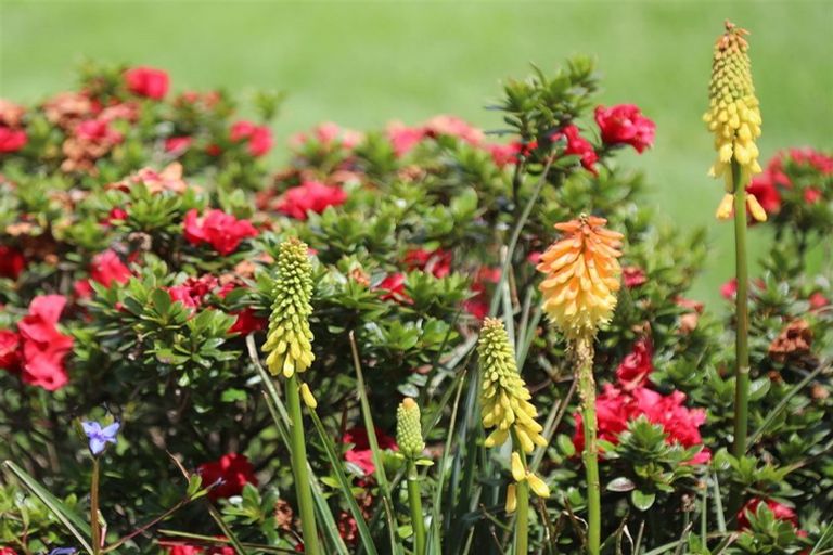 Photo of property in 145 Hall Road, Rangiriri, Te Kauwhata, 3782