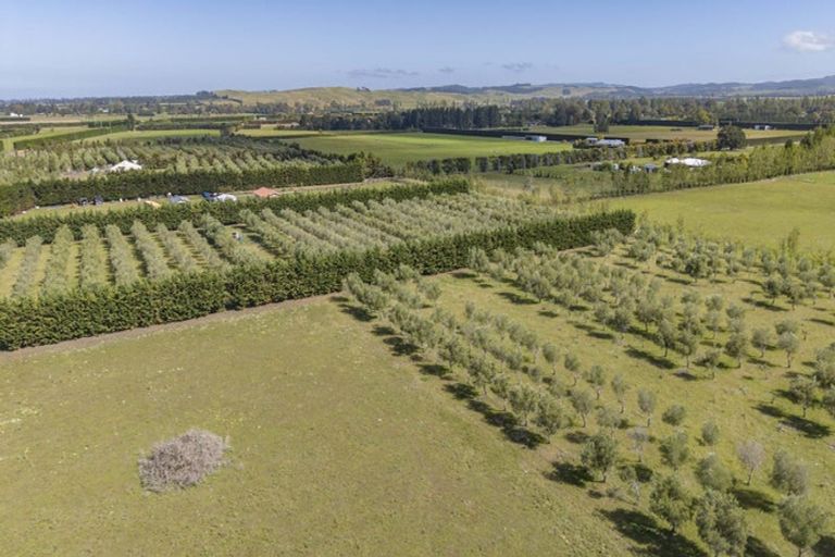 Photo of property in 206 Mount Brown Road, Glasnevin, Amberley, 7482