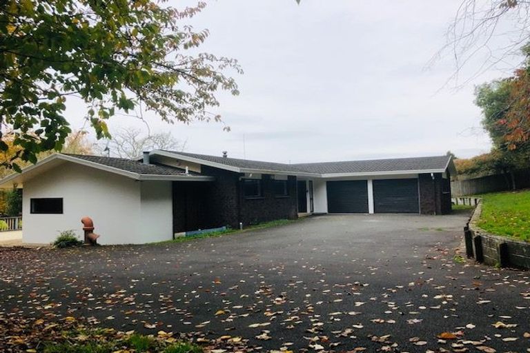 Photo of property in 372 Exelby Road, Burbush, Hamilton, 3288