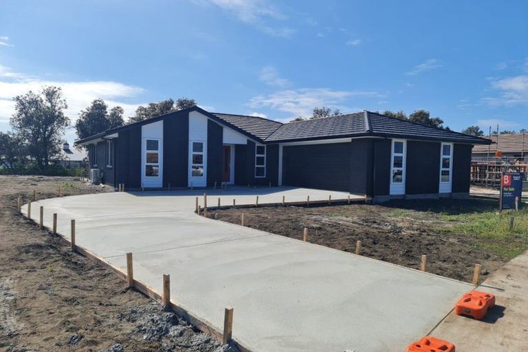 Photo of property in 44 Tawhero Street, Gonville, Whanganui, 4501