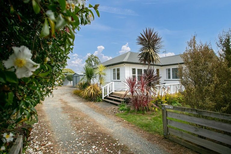 Photo of property in 28 Campbell Street, Leamington, Cambridge, 3432