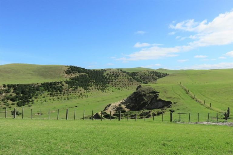 Photo of property in 7 Snapper Street, Baylys Beach, 0377