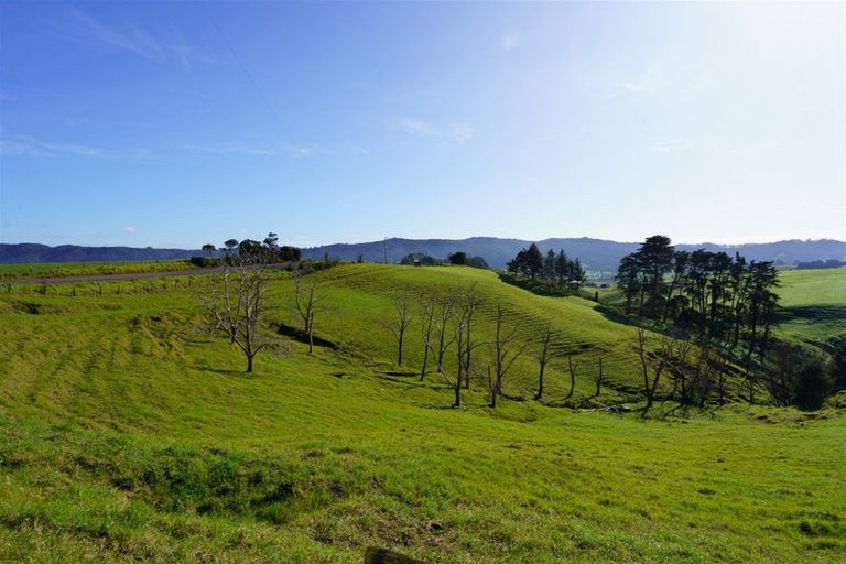 Photo of property in 1658 Ruapekapeka Road, Kawakawa, 0182