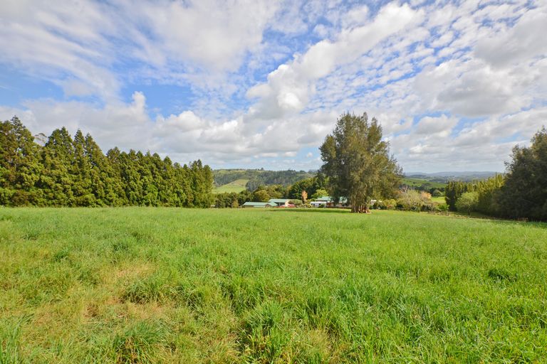 Photo of property in 217 Apotu Road, Kauri, 0185