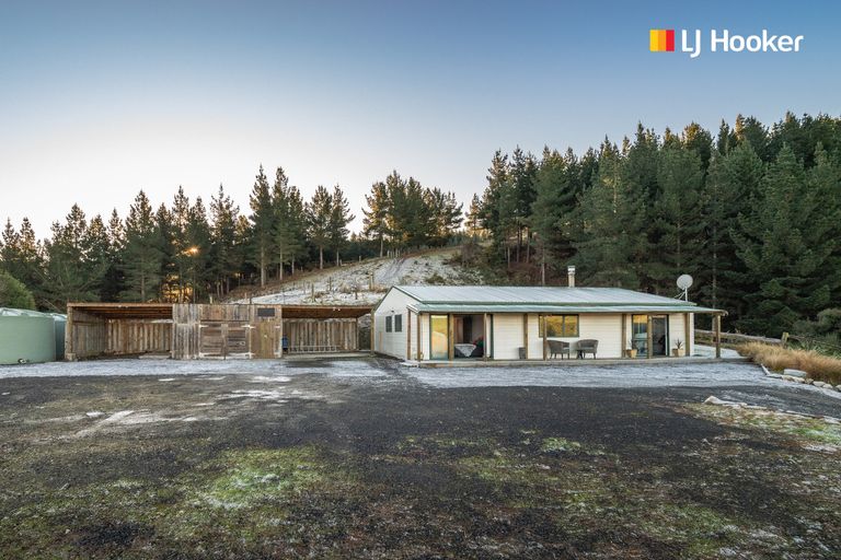 Photo of property in 236 Waipori Falls Road, Berwick, Outram, 9073