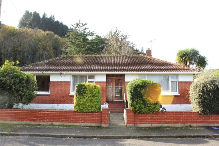 Photo of property in 12 Tannadice Street, Normanby, Dunedin, 9010