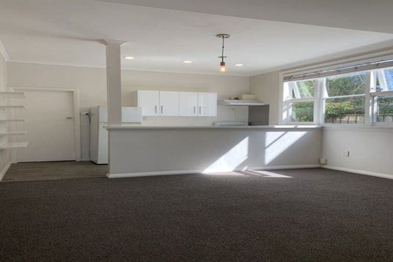 Photo of property in 16 Normanby Street, Newtown, Wellington, 6021