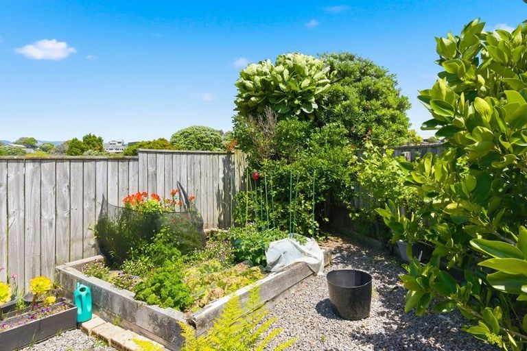 Photo of property in 10 Barrett Drive, Waikanae Beach, Waikanae, 5036