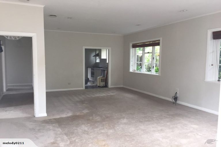 Photo of property in 17 Massey Avenue, Greenlane, Auckland, 1061