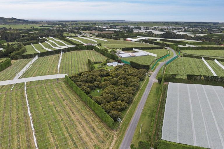 Photo of property in 348 Manoeka Road, Te Puke, 3183