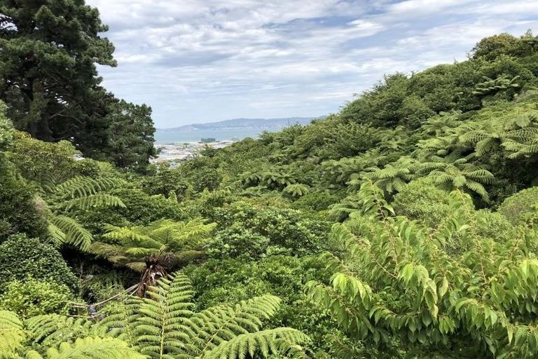 Photo of property in 12 Jacaranda Grove, Maungaraki, Lower Hutt, 5010