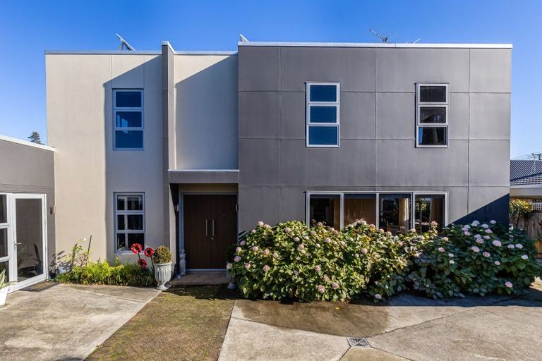 Photo of property in 15 Dillon Street, Blenheim, 7201