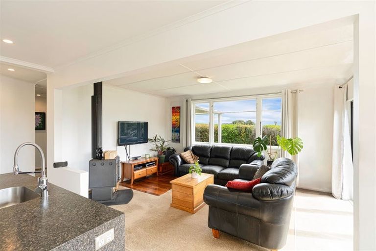 Photo of property in 51 Laward Road, Shannon, Palmerston North, 4474